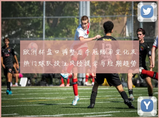 欧洲杯盘口调整后夺冠赔率变化及热门球队投注风险提示与短期趋势分析