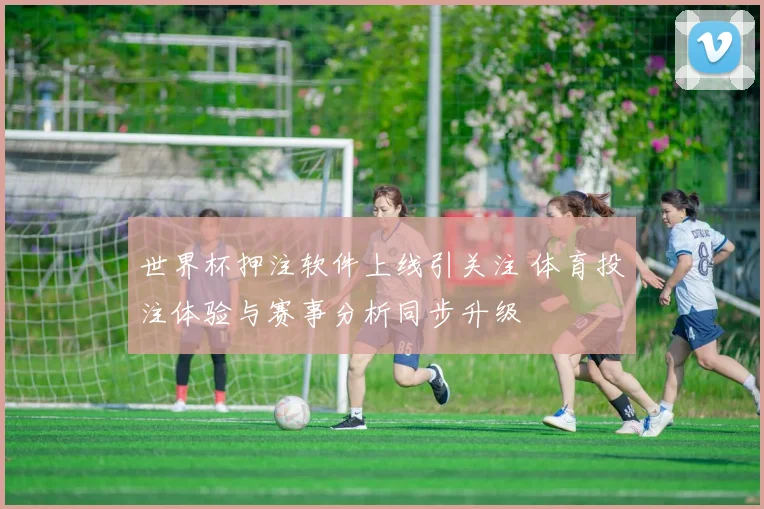 世界杯押注软件上线引关注 体育投注体验与赛事分析同步升级