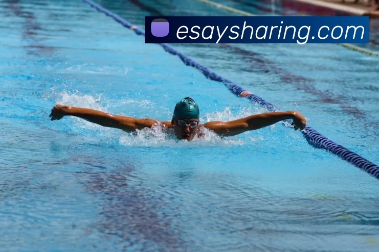 抓饭体育平台(中国)官网入口服务体系